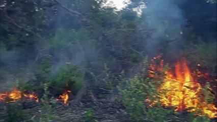 Amazing Quest - Stories from East Coast Australia - Somewhere on Earth