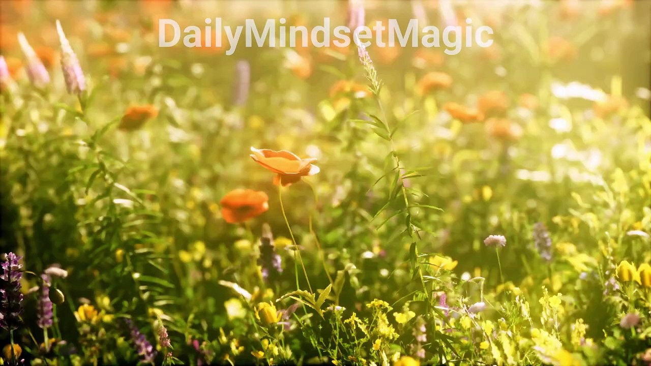 Watch your Dreams Flourish | Motivational Quote | #DailyMindsetMagic | #Motivation #Mindset #Lifestyle #Mentality #Inspiration #Quotes #Positive #Deep #Dream #Shorts #Reels #TikTok