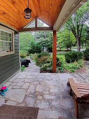 Large Bear Ready to Hibernate Lumbers Across Porch