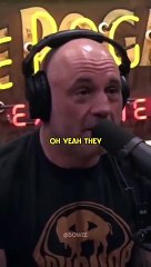 Joe Rogan On Jon Jones’ Robber