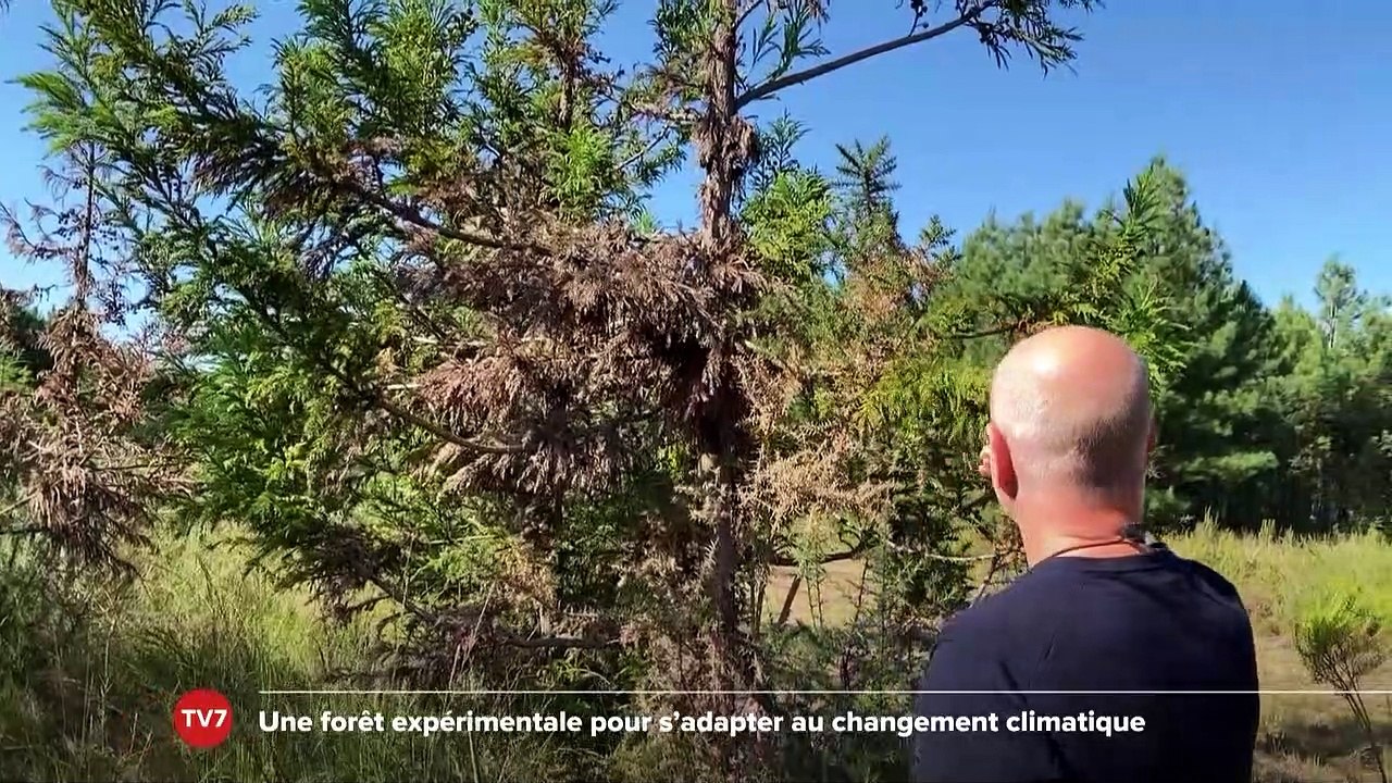 Le Grand J.T. des Territoires du 7 octobre 2023