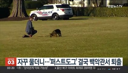자꾸 물더니…'퍼스트도그' 결국 백악관서 퇴출