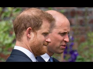 ‘Complex like Diana’ Prince Harry is ‘very much the Spencer’ compared to William