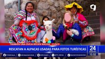 Cusco: rescatan animales que eran usados para toma de fotos con turistas