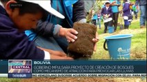 Gobierno Nacional de Bolivia impulsa un programa de creación de bosques