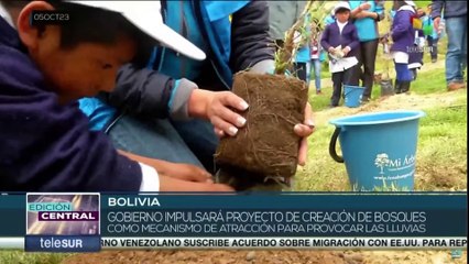 Gobierno Nacional de Bolivia impulsa un programa de creación de bosques