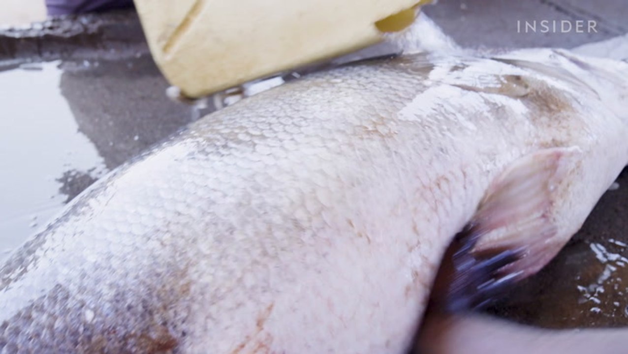 How Chinese demand for fish maw (swim bladder) fuels a $52 million industry in Uganda
