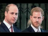È improbabile che il principe Harry risolva mai la relazione con William poiché il 