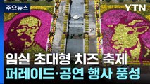 [날씨] 쾌청한 가을, 임실N치즈 축제 개막...국화꽃 만발 / YTN