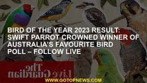 Bird of the year 2023 result: swift parrot crowned winner of Australia’s favourite bird poll – follo