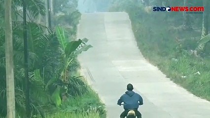 Kawasan Sungaibahar Jambi diselimuti Kabut Asap Tebal