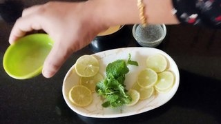 Classic Mojito Drink Recipe in Malayalam