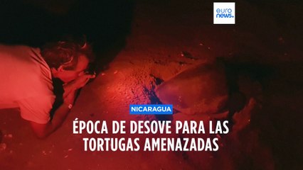 Esta playa de Nicaragua permite observar la puesta de huevos de las tortugas amenazadas