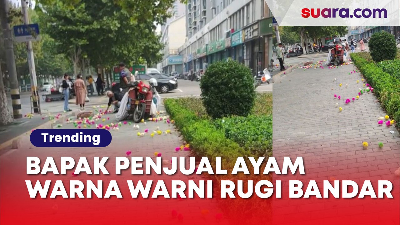Karena Hal Ini Bapak Penjual Ayam Warna Warni Rugi Bandar, Warganet Kalau Di Indonesia Udah Diambilin Pasti..
