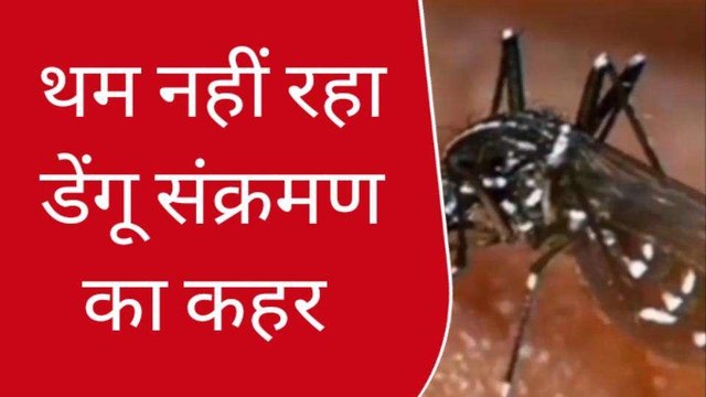 कानपुर: डेंगू संक्रमित मरीजों में लगातार हो रहा इजाफा, हाईग्रेड फीवर बना चिंता का विषय