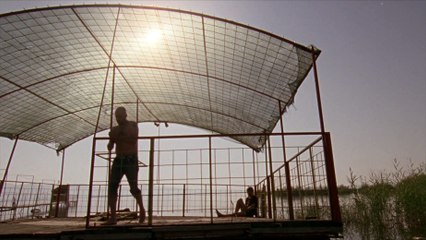 Pank nije mrtav (2011) Domaci film