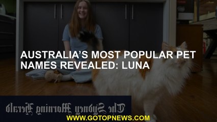 Australia’s most popular pet names revealed: Luna
