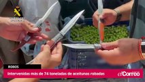 Intervenidas más de 74 toneladas de aceitunas robadas en Sevilla en dos operaciones