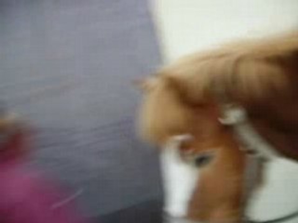 Cheval marie