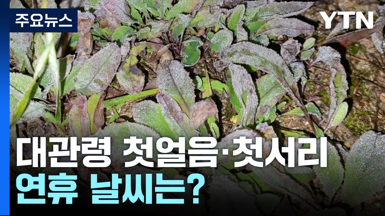 대관령 첫얼음·첫서리...한글날 연휴, '구름 많고 일부 산발적 비' / YTN