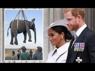 Il principe Harry riceve una notizia molto felice per il compleanno di Meghan Markle