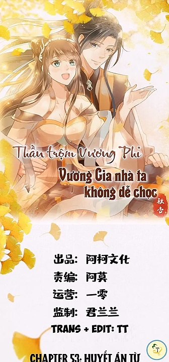 Chapter 53_ Thần trộm vương phi