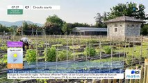 A Montélimar, La Ferme de Fanny, ferme pédagogique et pépinière de   de 250 plantes aromatiques et médicinales