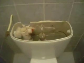 How quickly do to save water at home - Comment faire rapidement des économies d'eau