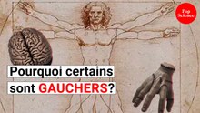 Pourquoi y a-t-il plus de droitiers que de gauchers?