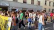 Fridays for future, la manifestazione a Firenze