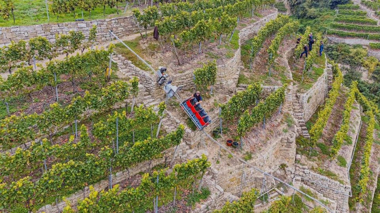 Bergbahnen von winzern manipuliert