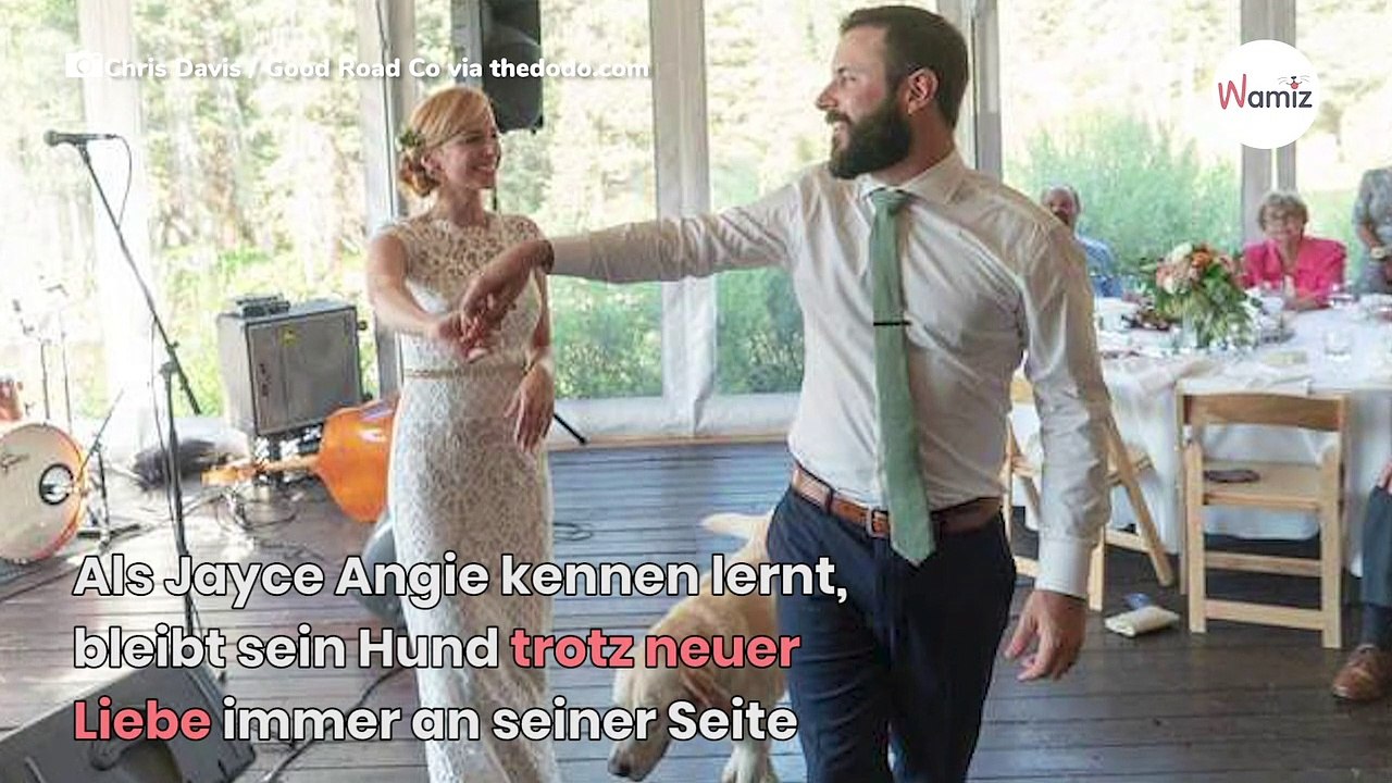 Es sollte der schönste Tag in ihrem Leben werden, doch dann kam Labrador Boone