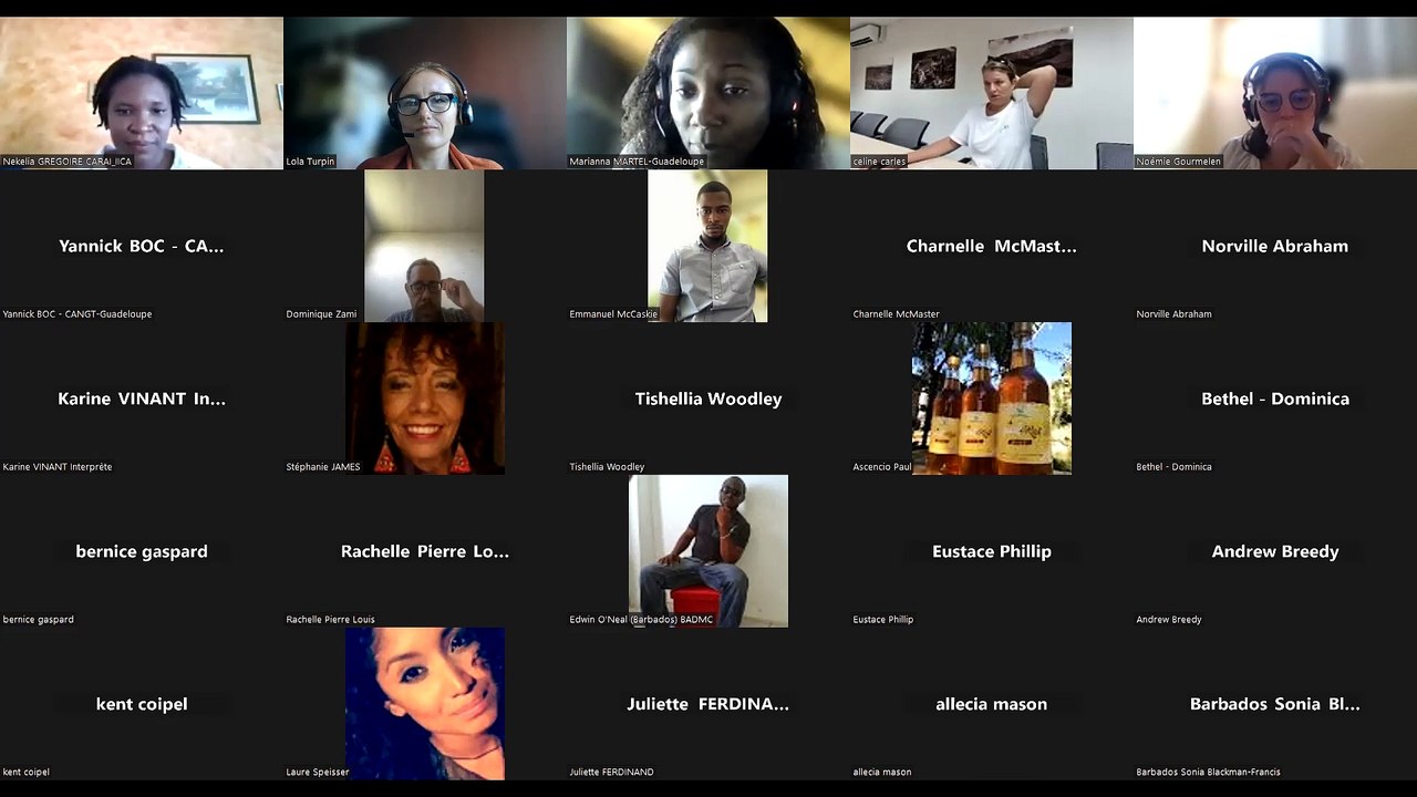 Webinaire CarNet’Adapt : Gestion des risques – Solutions face aux pénuries D’approvisionnement