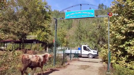 Oğlunun mezarına dua etmeye gelen anne, gördüğü manzara karşısında yığılıp kaldı