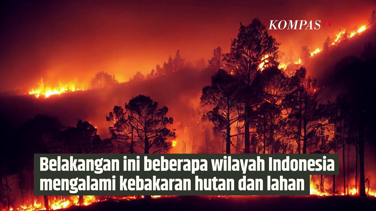 Mengenal Teknik Water Bombing yang Tak Murah untuk Padamkan Kebakaran Hutan| SINAU