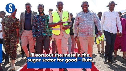 I'll sort out the mess in the sugar sector for good – Ruto