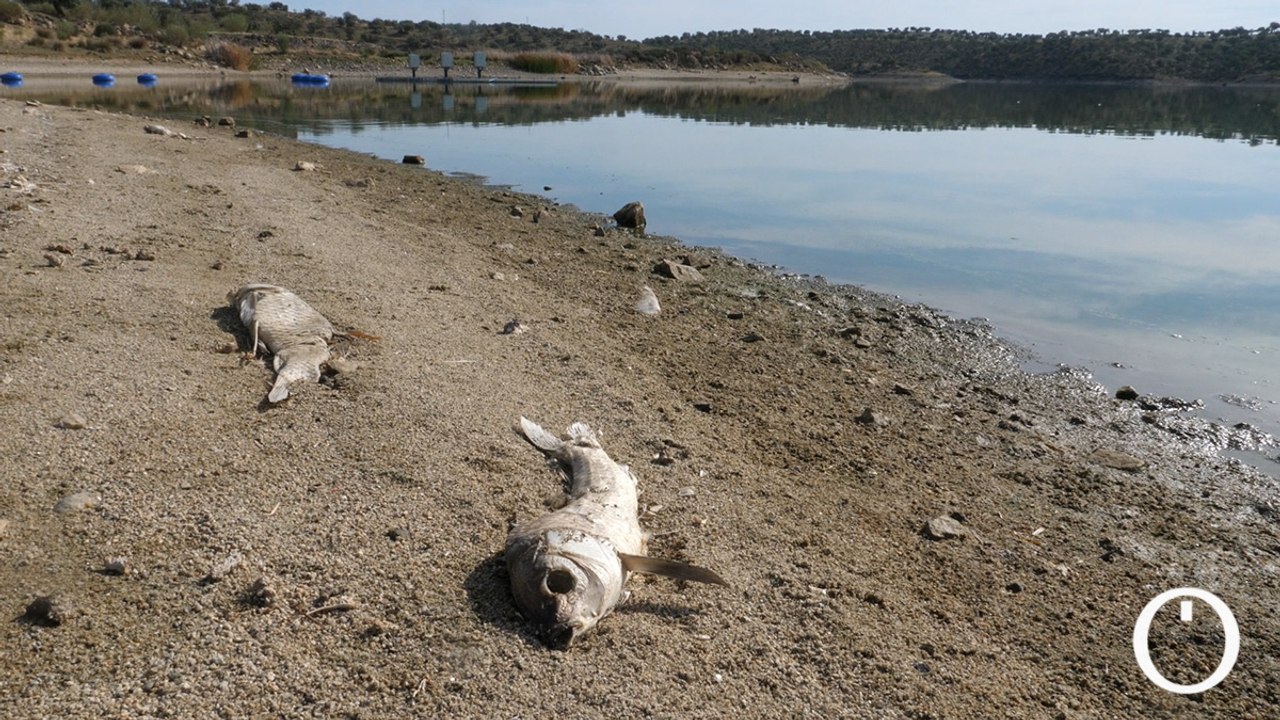Bebés que se bañan con garrafas o cocinar con agua mineral: la vida de 80.000 personas en Córdoba