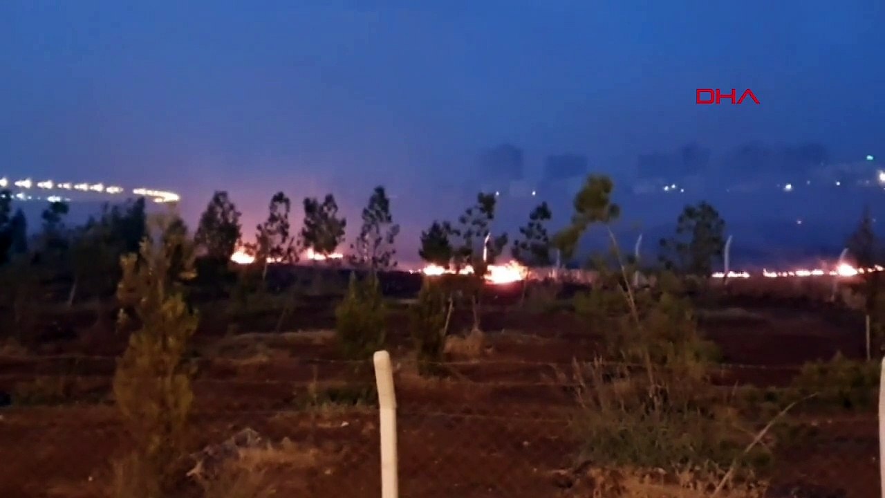 L'incendie qui s'est déclaré près de la forêt municipale de Diyarbakır a été maîtrisé