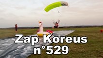 Zap Koreus n°529