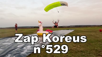 Zap Koreus n°529