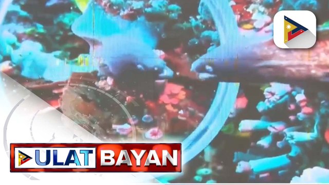 Puerto Galera LGU, nais ding makilala bilang diving capital of the Philippines