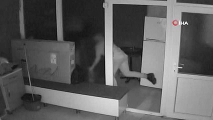 Kuaförde Çırak Tarafından Kediye Şiddet Uygulandı