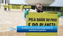 Au Brésil, l'avenir de l'épandage aérien de pesticides en question