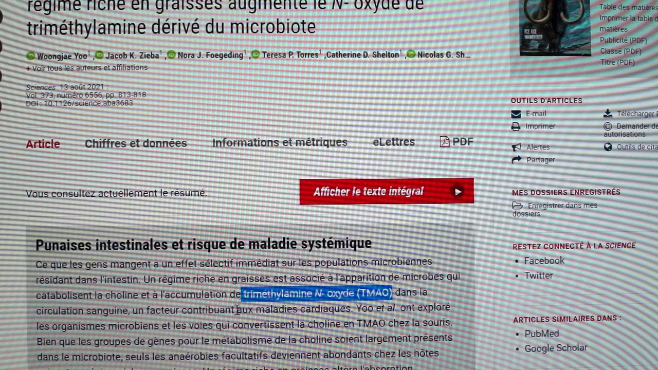 Tout savoir sur le TMAO