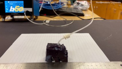 Alien Looking Silicone Robot is the First Designed Entirely by AI.mp4