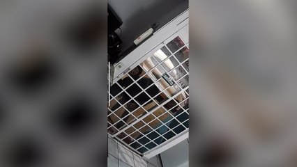 Bandidos tentam arrombar panificadora em Cascavel