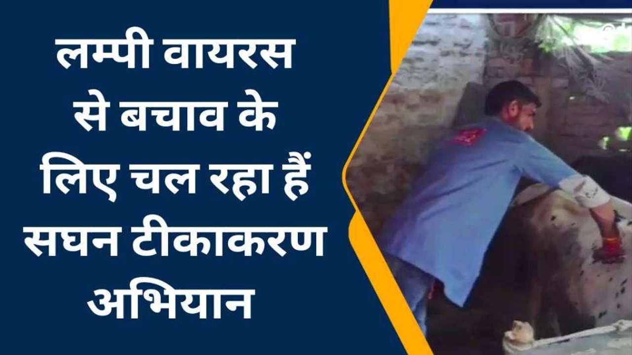 बस्ती: लंपी वायरस के चलते प्रशासन अलर्ट, सघन टी...