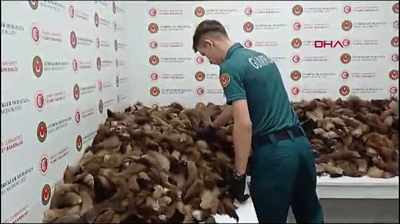 İstanbul Havalimanı'nda 10 bin 300 tilki kuyruğu ele geçirildi