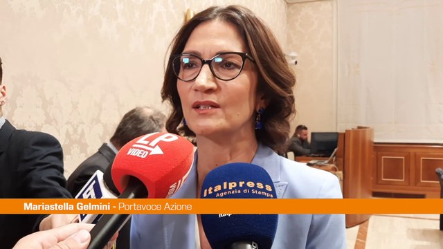 Gelmini È necessario che la politica cambi paradigma