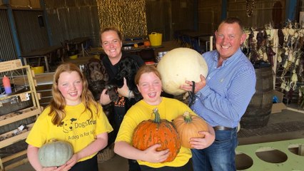 The Pick-Your-Own Pumpkin Patch at Bert’s Barrow Farm in Hillam